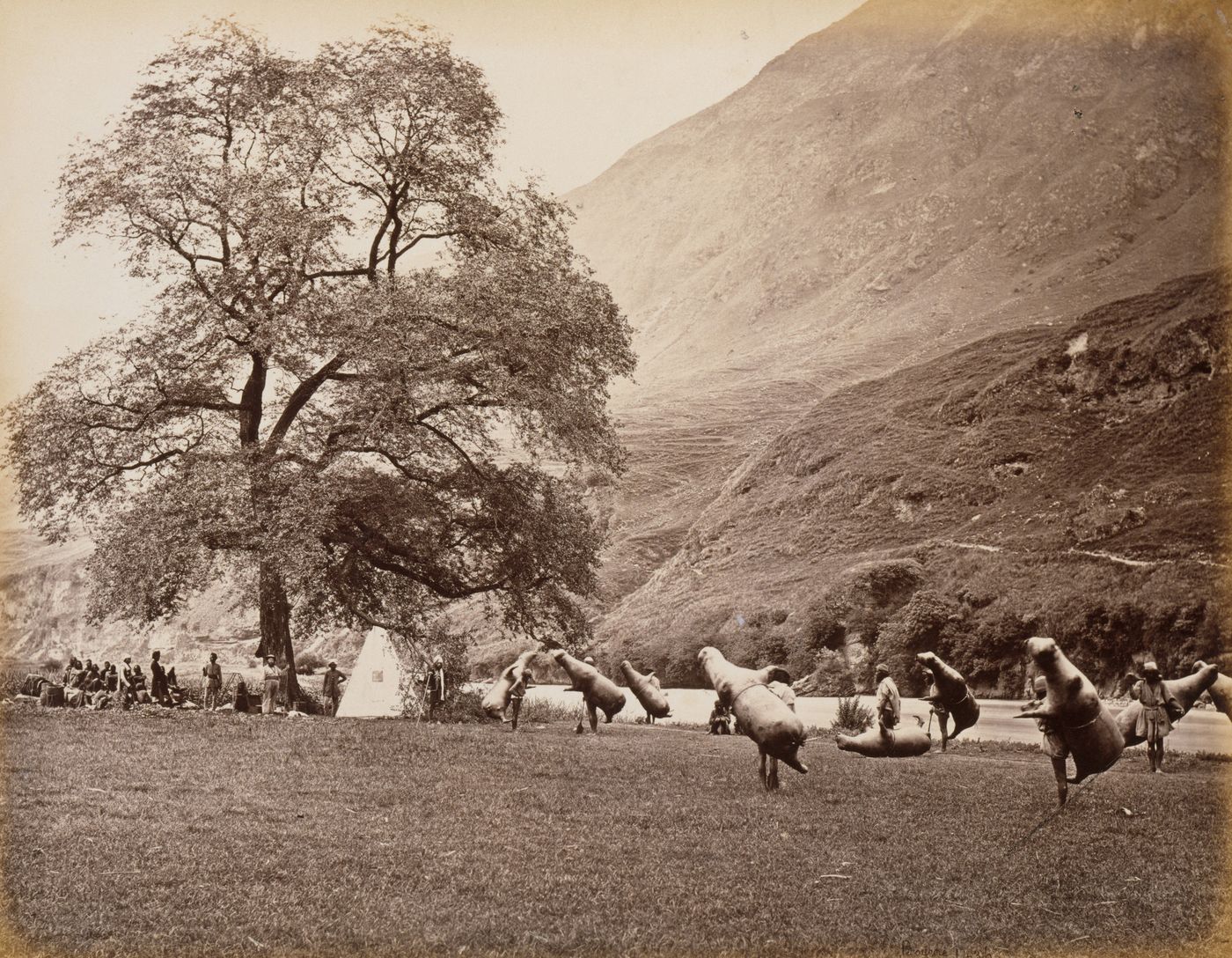 A sepia photograph of a riverside meadow under steep mountains, with a great tree and a tent; men carry large inflated animal skins across the grass.