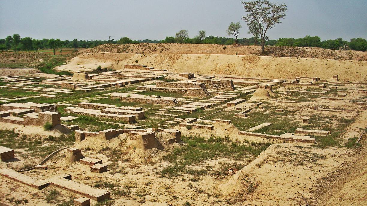 Rows of excavated brick foundations on a mound at Harappa, with a raised bank of earth and trees behind