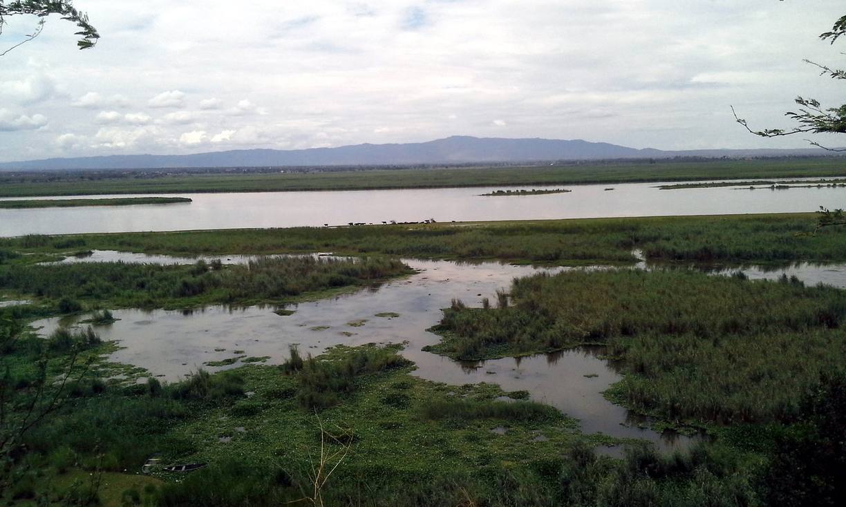 The Jhelum River in Punjab, Pakistan, near Rasul: a wide channel with a small island, marshy ground in front and hills beyond the far bank
