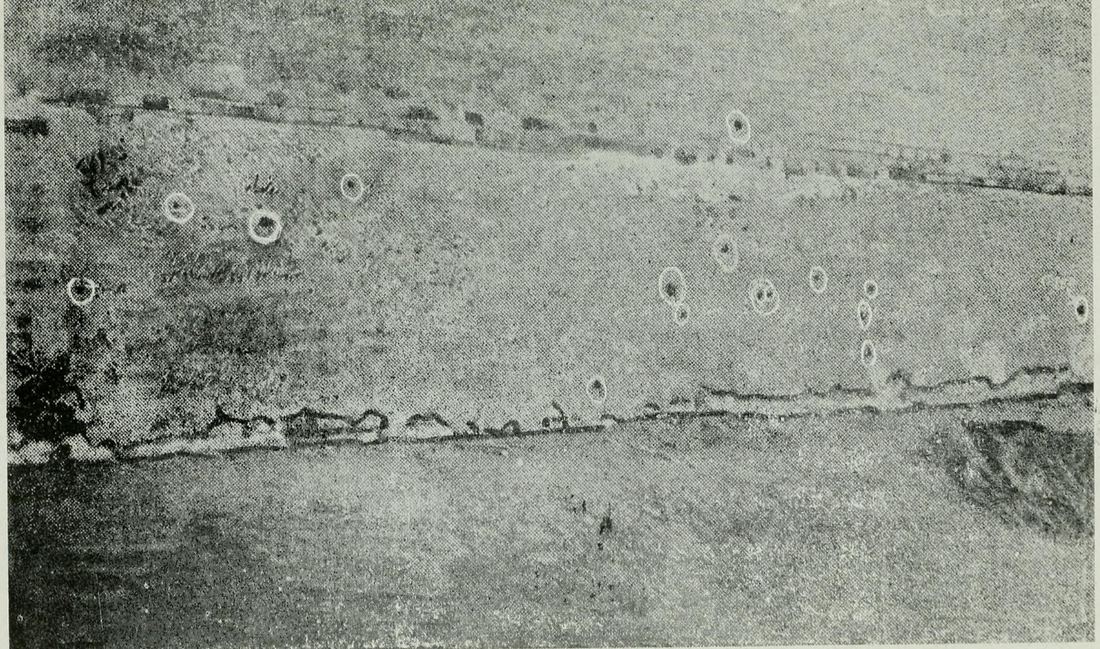 A rough brick wall with a dozen or so bullet holes, each ringed in white