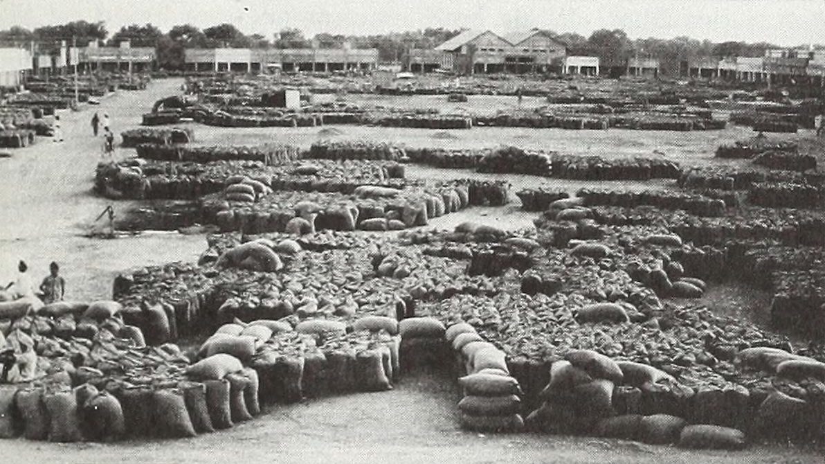 A wide black and white view of a grain market yard covered in rows of stacked jute sacks of wheat, with a few people among them and market buildings behind.