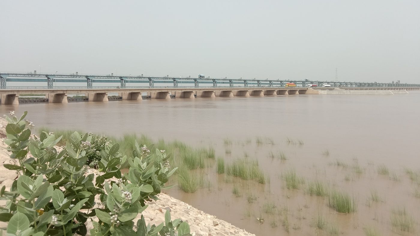 A long concrete barrage with many arches stretching across a wide, muddy brown river, with reeds in the shallows and green shrubs in the foreground.