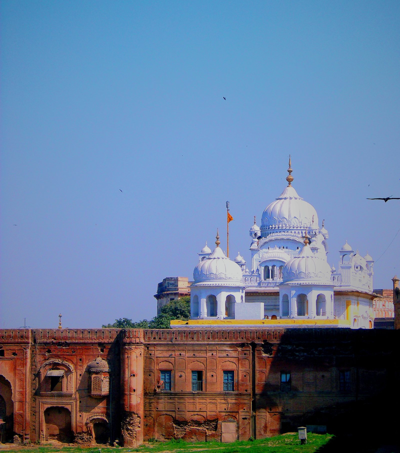 White fluted domes and cupolas of the Samadhi of Ranjit Singh with a saffron flag, rising behind an old red-brick wall under a blue sky.