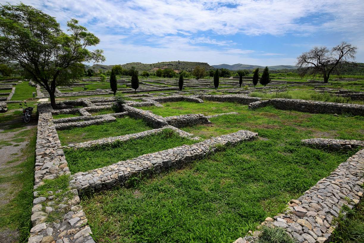 Low stone walls marking out the blocks of an ancient city on a grid, in green grass, with trees and hills behind