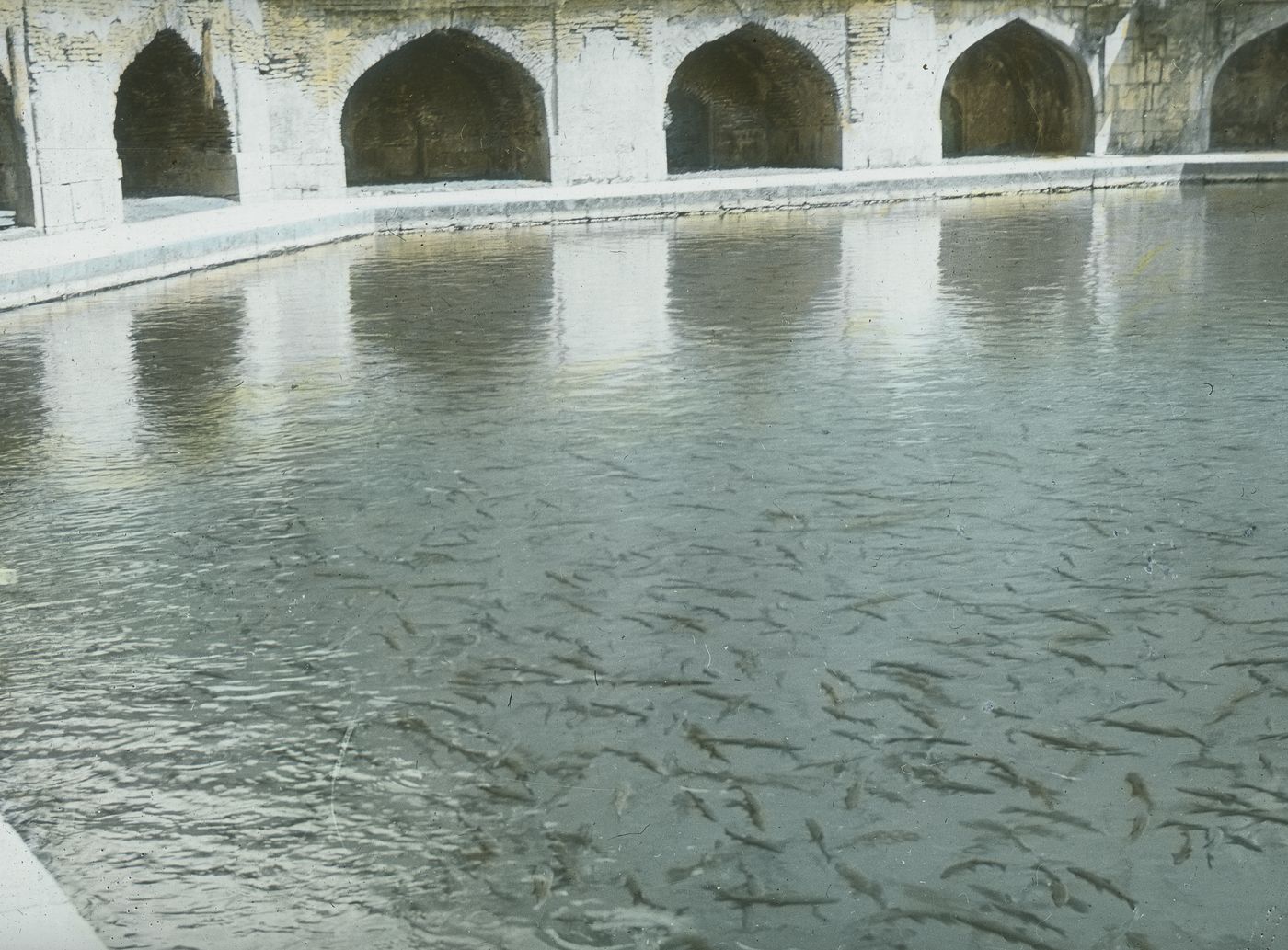 A hand-coloured photograph of a still, green pool crowded with fish, edged by a stone walk and a long arcade of pointed arches.